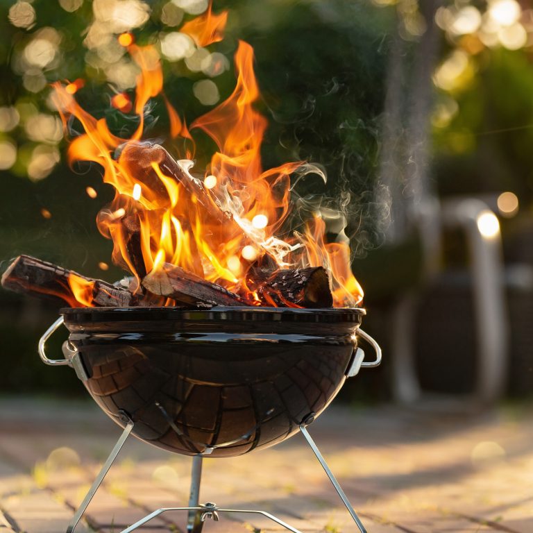 Barbecue Tips for the Perfect BBQ