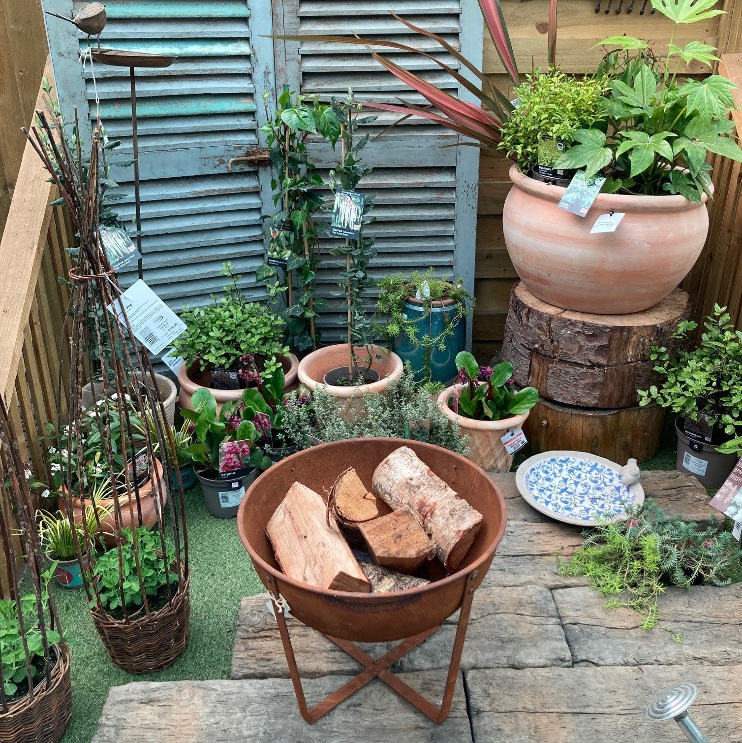 Should I get a fire pit?