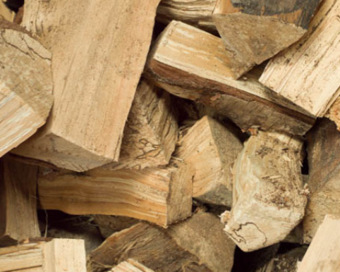 Hardwood vs Softwood: What is the difference?